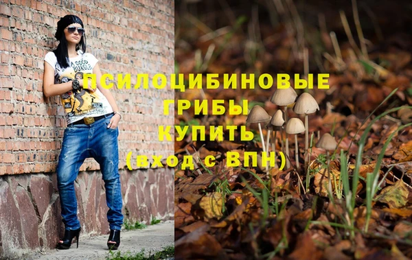 спайс Абинск